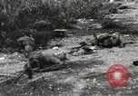 Standbild United States Marine Corps Peleliu Palau Inseln, 1944, aus Sekunde 62 historischem Filmmaterial Videoclip 65675022932