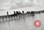 Standbild United States Marine Corps Peleliu Palau Inseln, 1944, aus Sekunde 22 historischem Filmmaterial Videoclip 65675022933