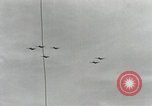 Standbild Marine Corps Peleliu Palau Inseln, 1944, aus Sekunde 38 historischem Filmmaterial Videoclip 65675022938