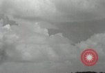 Image of United States Marines Peleliu Palau Islands, 1944, second 59 stock footage video 65675022941