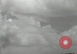 Image of United States Marines Peleliu Palau Islands, 1944, second 60 stock footage video 65675022941