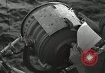 Image of United States Marines Peleliu Palau Islands, 1944, second 18 stock footage video 65675022942