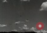 Image of 5th Marines Division Peleliu Palau Islands, 1944, second 5 stock footage video 65675022945