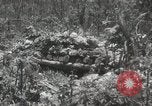 Image of 5th Marines Division Peleliu Palau Islands, 1944, second 30 stock footage video 65675022945