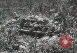 Image of 5th Marines Division Peleliu Palau Islands, 1944, second 31 stock footage video 65675022945