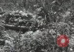 Image of 5th Marines Division Peleliu Palau Islands, 1944, second 32 stock footage video 65675022945