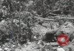 Image of 5th Marines Division Peleliu Palau Islands, 1944, second 33 stock footage video 65675022945