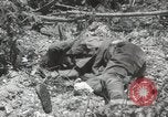 Image of 5th Marines Division Peleliu Palau Islands, 1944, second 34 stock footage video 65675022945