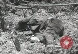 Image of 5th Marines Division Peleliu Palau Islands, 1944, second 35 stock footage video 65675022945