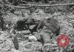 Image of 5th Marines Division Peleliu Palau Islands, 1944, second 36 stock footage video 65675022945