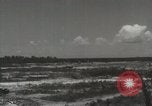 Image of 5th Marines Division Peleliu Palau Islands, 1944, second 46 stock footage video 65675022945