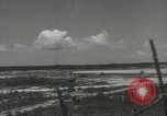 Image of 5th Marines Division Peleliu Palau Islands, 1944, second 48 stock footage video 65675022945