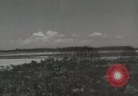 Image of 5th Marines Division Peleliu Palau Islands, 1944, second 51 stock footage video 65675022945