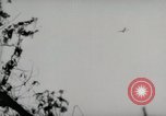Image of 5th Marines Division Peleliu Palau Islands, 1944, second 6 stock footage video 65675022946