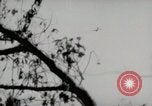 Image of 5th Marines Division Peleliu Palau Islands, 1944, second 7 stock footage video 65675022946