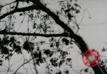 Image of 5th Marines Division Peleliu Palau Islands, 1944, second 8 stock footage video 65675022946