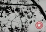 Image of 5th Marines Division Peleliu Palau Islands, 1944, second 9 stock footage video 65675022946