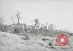 Image of 5th Marines Division Peleliu Palau Islands, 1944, second 12 stock footage video 65675022946