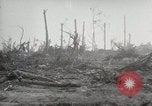Image of 5th Marines Division Peleliu Palau Islands, 1944, second 38 stock footage video 65675022947