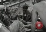 Image of 5th Marines Division Peleliu Palau Islands, 1944, second 61 stock footage video 65675022947