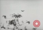 Image of 5th Marines Division Peleliu Palau Islands, 1944, second 3 stock footage video 65675022948