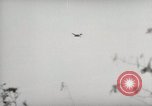 Image of 5th Marines Division Peleliu Palau Islands, 1944, second 4 stock footage video 65675022948