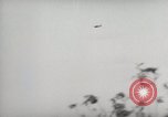 Image of 5th Marines Division Peleliu Palau Islands, 1944, second 5 stock footage video 65675022948