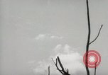 Image of 5th Marines Division Peleliu Palau Islands, 1944, second 42 stock footage video 65675022949