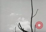 Image of 5th Marines Division Peleliu Palau Islands, 1944, second 43 stock footage video 65675022949