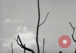 Image of 5th Marines Division Peleliu Palau Islands, 1944, second 44 stock footage video 65675022949