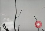 Image of 5th Marines Division Peleliu Palau Islands, 1944, second 45 stock footage video 65675022949