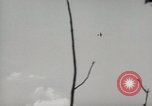 Image of 5th Marines Division Peleliu Palau Islands, 1944, second 48 stock footage video 65675022949
