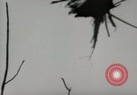 Image of 5th Marines Division Peleliu Palau Islands, 1944, second 49 stock footage video 65675022949