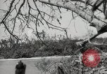Image of 5th Marines Division Peleliu Palau Islands, 1944, second 50 stock footage video 65675022949