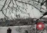 Image of 5th Marines Division Peleliu Palau Islands, 1944, second 51 stock footage video 65675022949