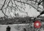 Image of 5th Marines Division Peleliu Palau Islands, 1944, second 52 stock footage video 65675022949