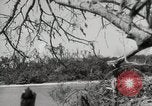 Image of 5th Marines Division Peleliu Palau Islands, 1944, second 53 stock footage video 65675022949
