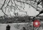 Image of 5th Marines Division Peleliu Palau Islands, 1944, second 55 stock footage video 65675022949
