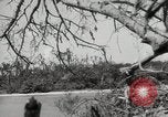 Image of 5th Marines Division Peleliu Palau Islands, 1944, second 56 stock footage video 65675022949