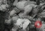 Standbild 5th Marines Division Peleliu Palau Inseln, 1944, aus Sekunde 11 historischem Filmmaterial Videoclip 65675022950