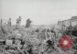 Standbild 5th Marines Division Peleliu Palau Inseln, 1944, aus Sekunde 29 historischem Filmmaterial Videoclip 65675022950