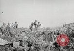 Standbild 5th Marines Division Peleliu Palau Inseln, 1944, aus Sekunde 35 historischem Filmmaterial Videoclip 65675022950