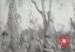 Standbild 5th Marines Division Peleliu Palau Inseln, 1944, aus Sekunde 45 historischem Filmmaterial Videoclip 65675022950