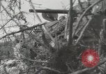 Image of United States Marines Peleliu Palau Islands, 1944, second 16 stock footage video 65675022956