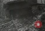 Image of United States Marines Peleliu Palau Islands, 1944, second 31 stock footage video 65675022956