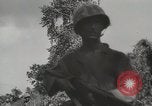 Image of United States Marines Peleliu Palau Islands, 1944, second 36 stock footage video 65675022956