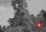 Image of United States Marines Peleliu Palau Islands, 1944, second 39 stock footage video 65675022956