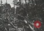 Image of United States Marines Peleliu Palau Islands, 1944, second 47 stock footage video 65675022956