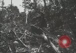 Image of United States Marines Peleliu Palau Islands, 1944, second 48 stock footage video 65675022956