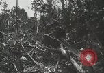 Image of United States Marines Peleliu Palau Islands, 1944, second 49 stock footage video 65675022956